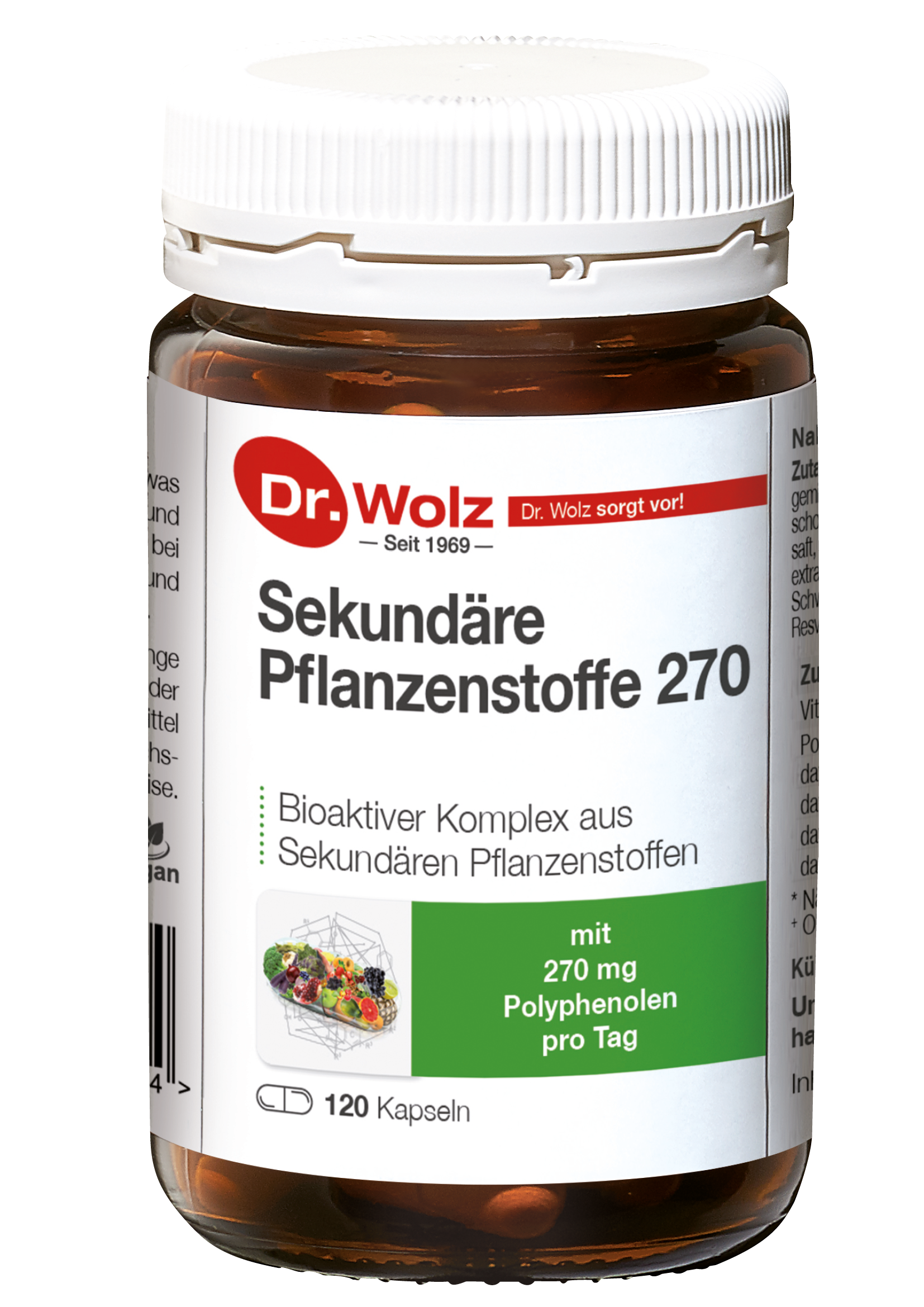 DR. WOLZ, PHYTOCHEMICALS polifenoliai, 120 kapsulių