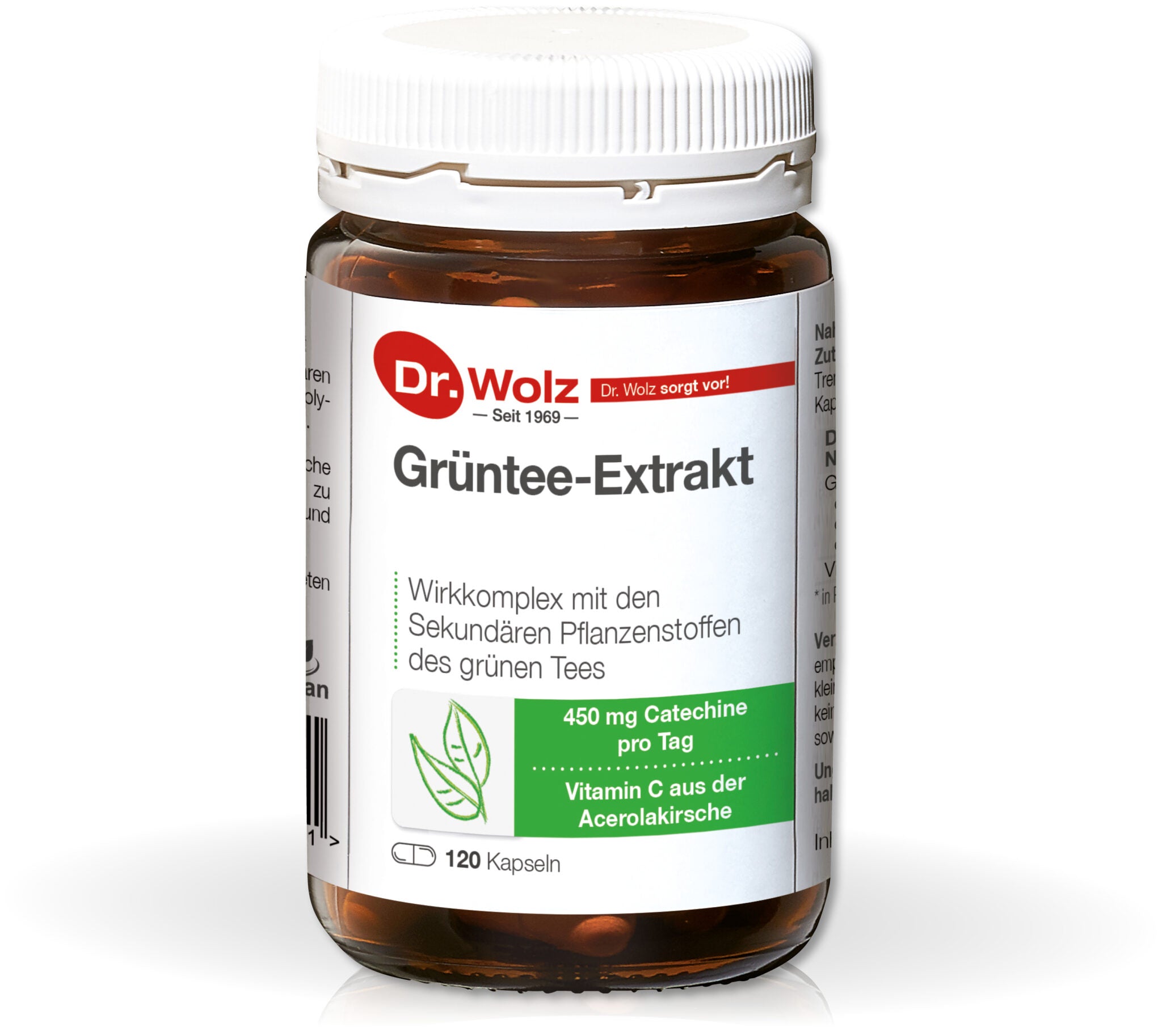 DR. WOLZ  Green tea extract +C, 120 kapsulių
