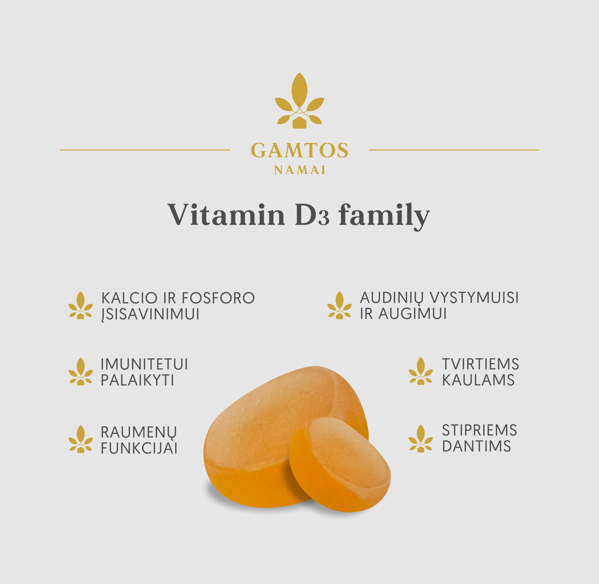 GAMTOS NAMAI, D3 FAMILY, 60 apelsinų skonio guminukų