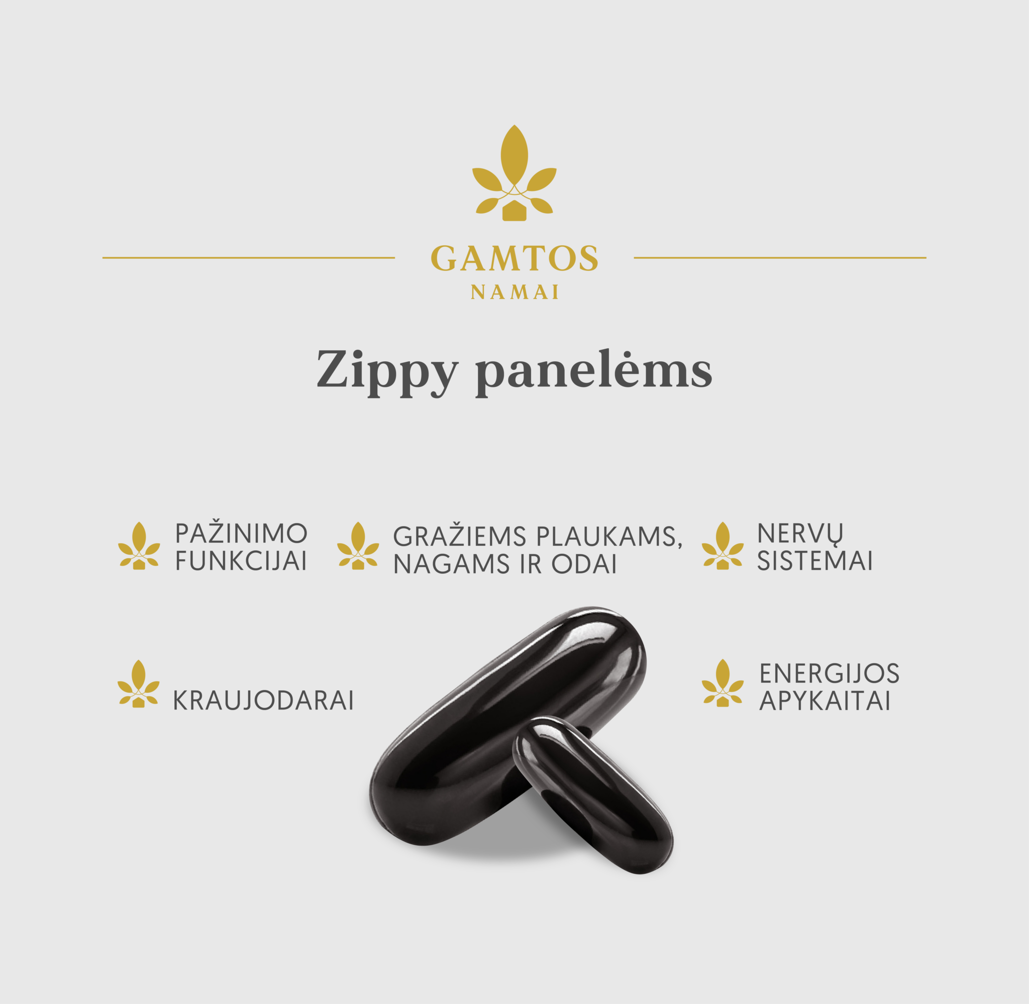 GAMTOS NAMAI, vitaminai panelėms ZIPPY, 60 kapsulių