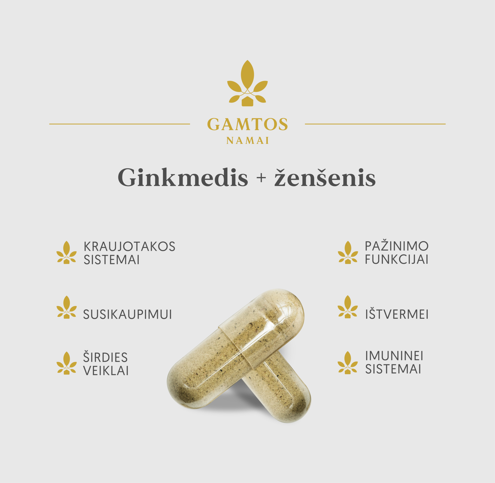 GAMTOS NAMAI, GINKMEDIS+ŽENŠENIS, 60 kapsulių