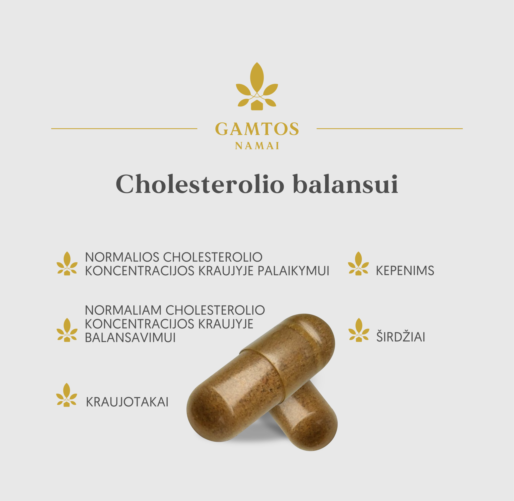 GAMTOS NAMAI, KOMPLEKSAS CHOLESTEROLIO BALANSUI, 60 kapsulių