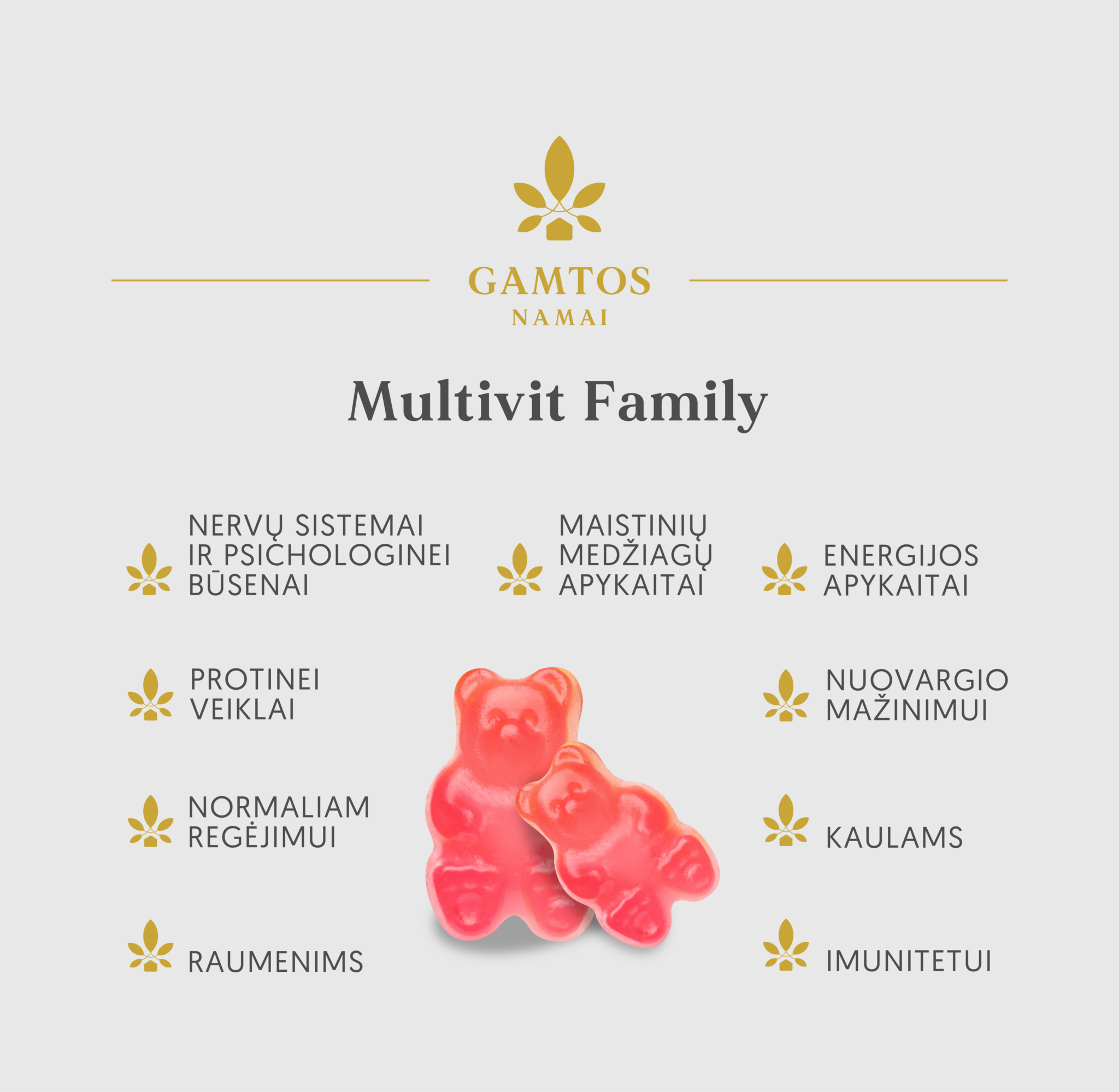GAMTOS NAMAI, MULTIVIT FAMILY, 60 guminukų