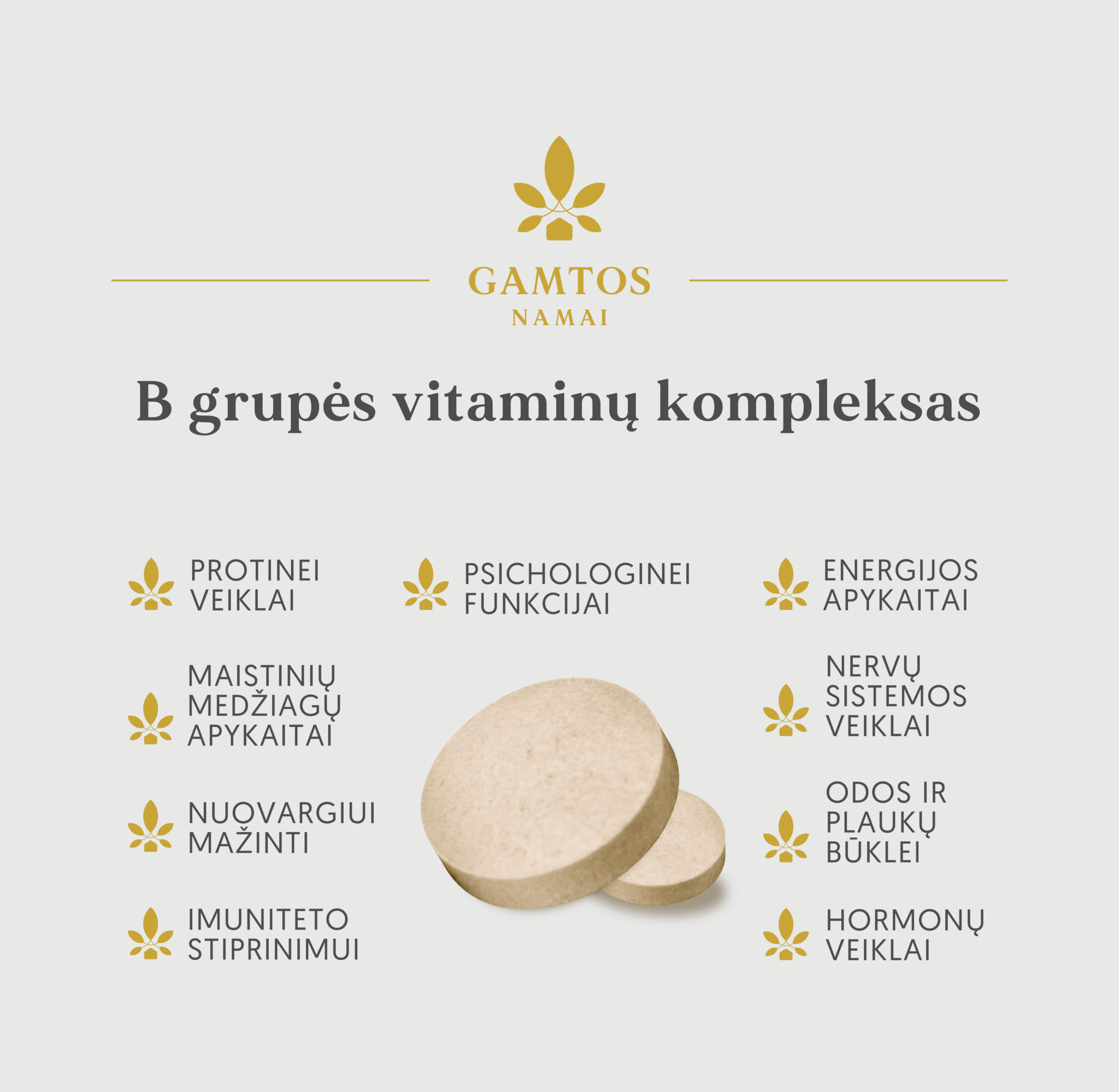 GAMTOS NAMAI, B GRUPĖS VITAMINŲ KOMPLEKSAS, 90 tablečių