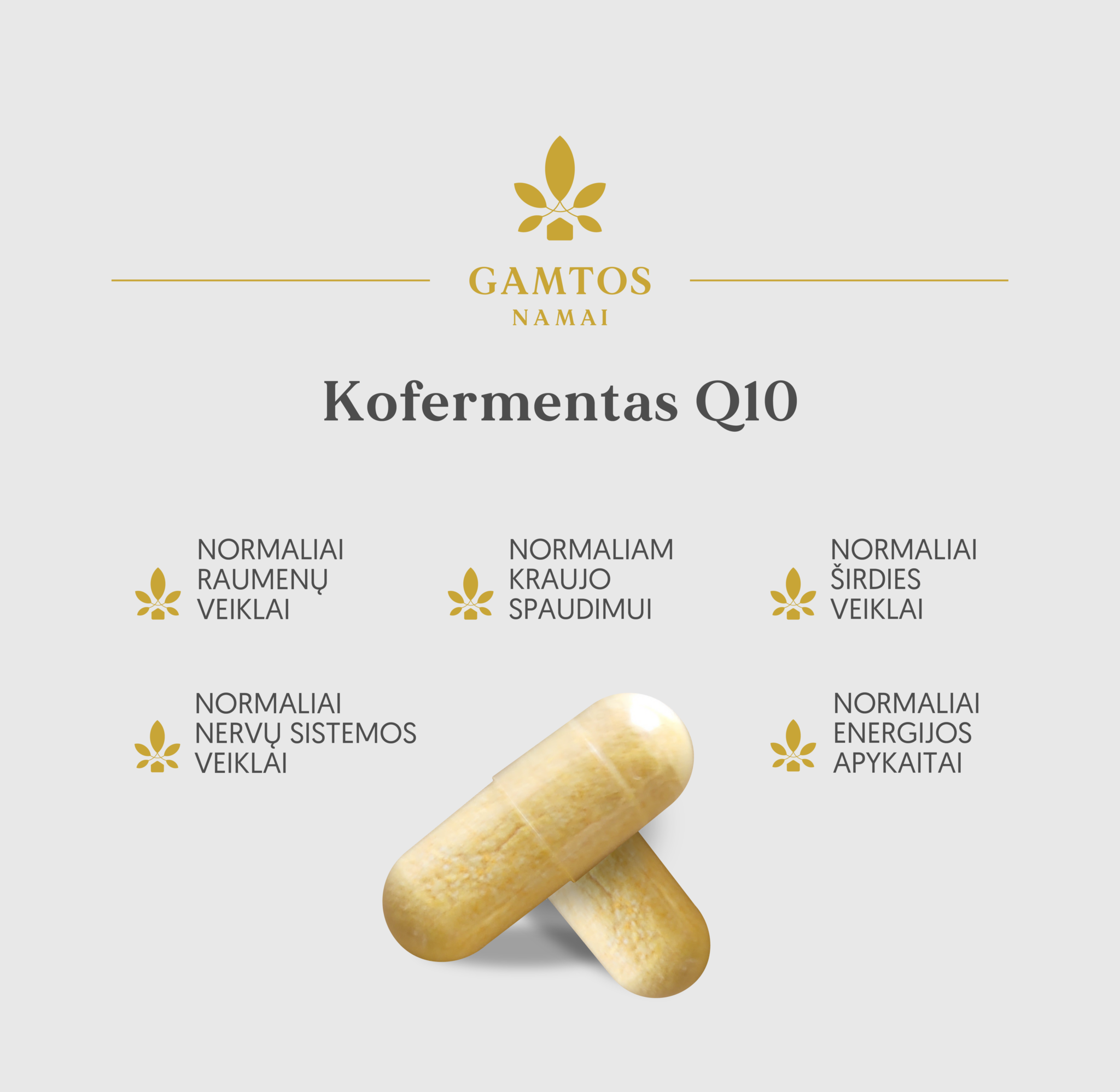 GAMTOS NAMAI, KOFERMENTAS Q10 100 mg, 60 kapsulių