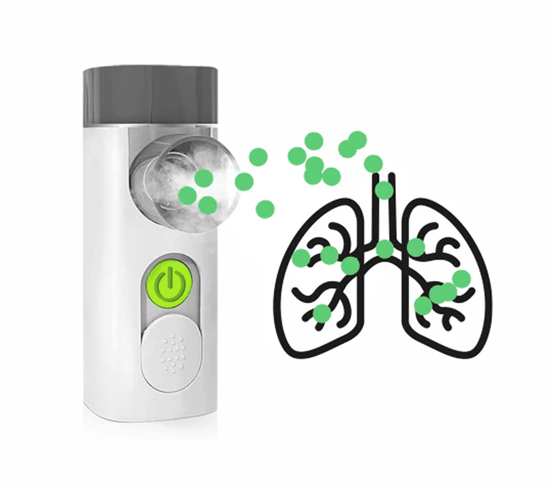 EVOLU inhaliatorius NANO AIR, 1 vnt.
