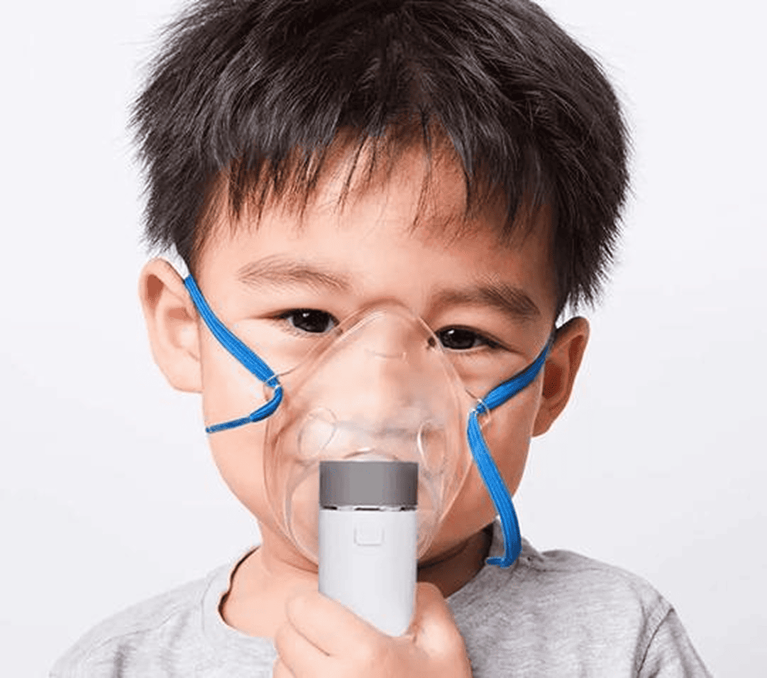 EVOLU inhaliatorius NANO AIR, 1 vnt.