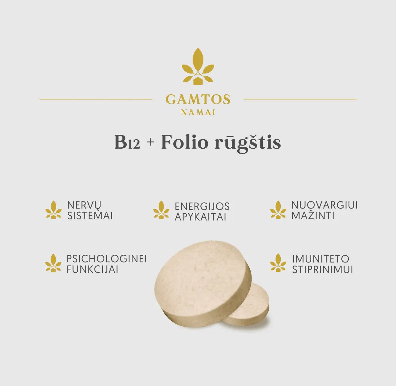 GAMTOS NAMAI, B12 + FOLIO RŪGŠTIS, 90 tablečių