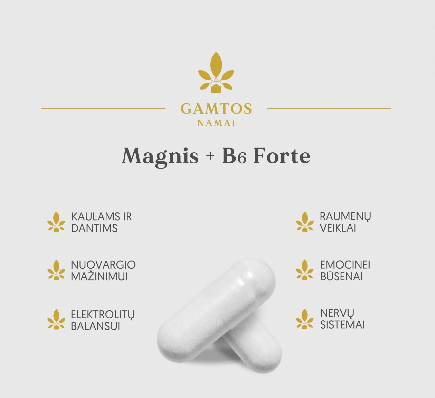 GAMTOS NAMAI, MAGNIS + B6 forte, 60 tablečių
