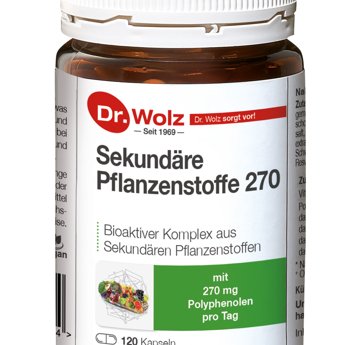 DR. WOLZ, PHYTOCHEMICALS polifenoliai, 120 kapsulių