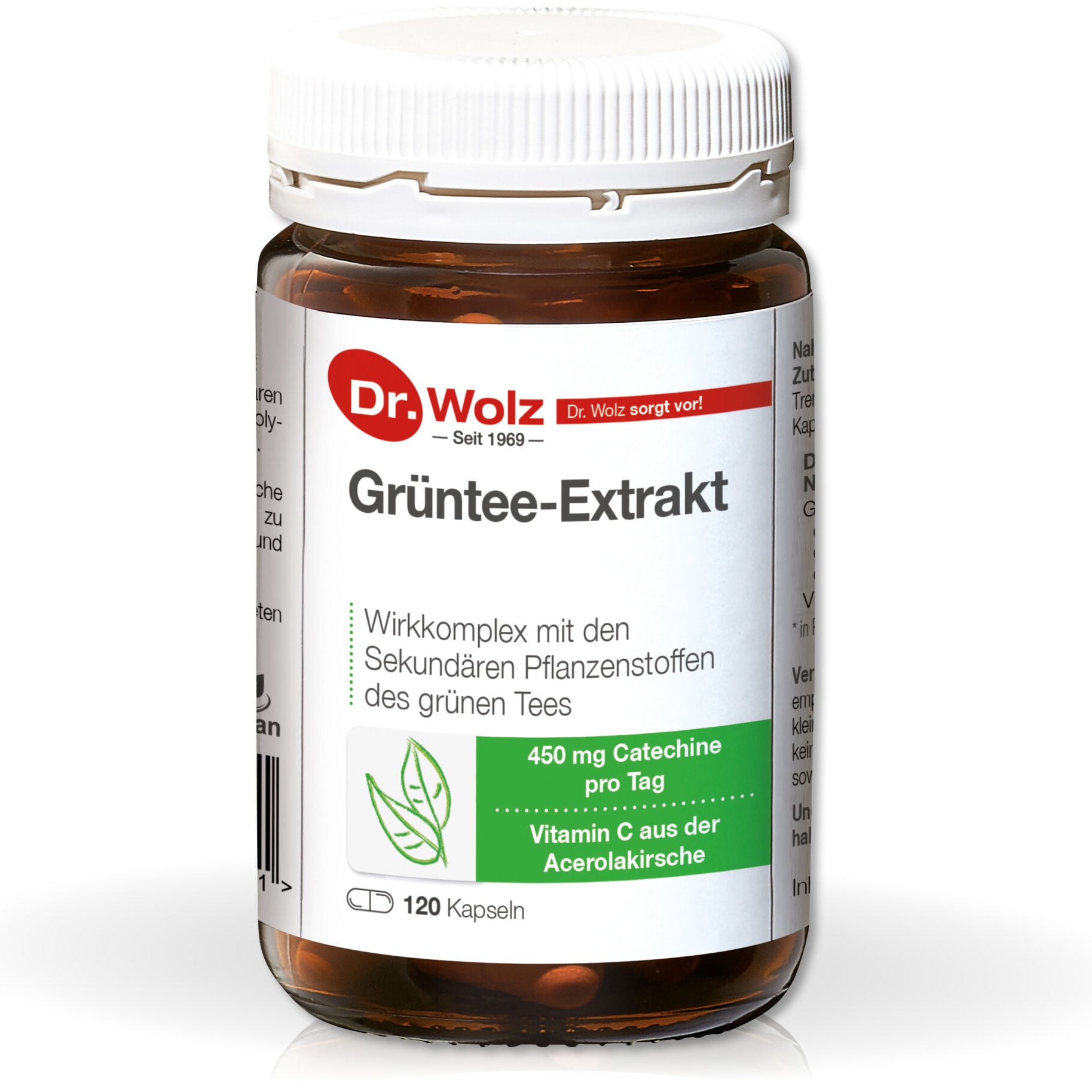 DR. WOLZ  Green tea extract +C, 120 kapsulių