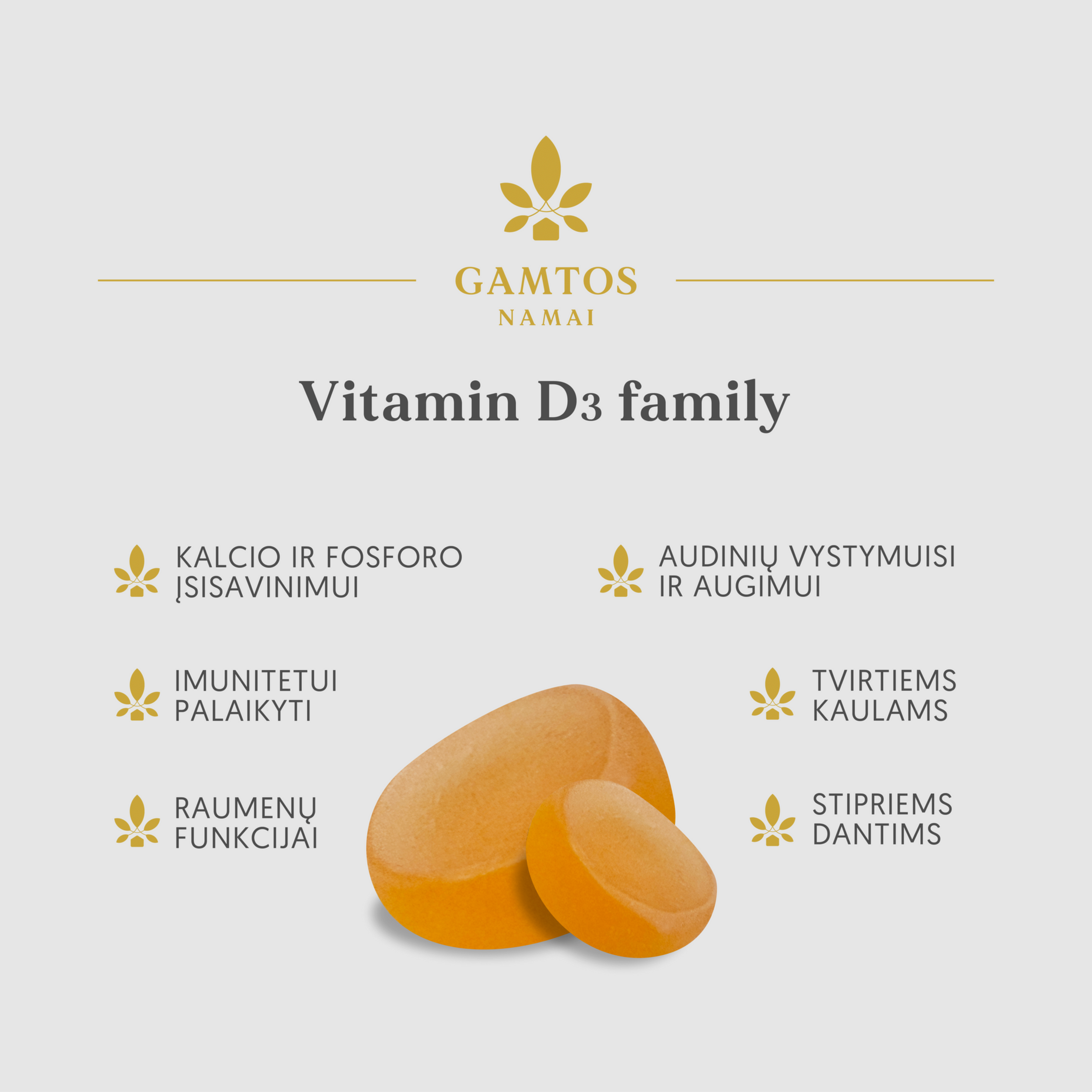 GAMTOS NAMAI, D3 FAMILY, 60 apelsinų skonio guminukų