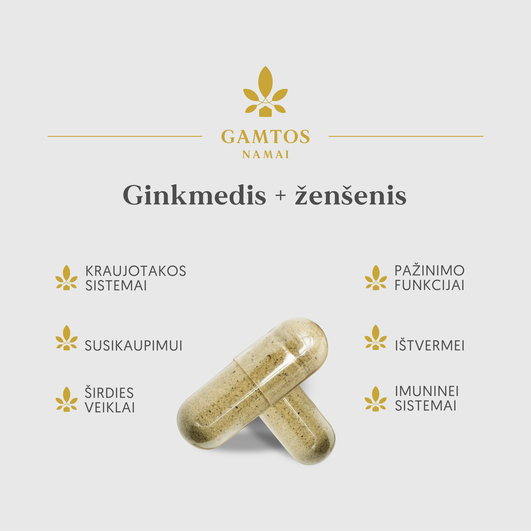 GAMTOS NAMAI, GINKMEDIS+ŽENŠENIS, 60 kapsulių