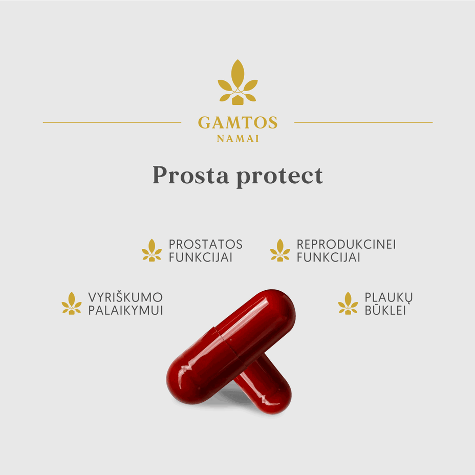 GAMTOS NAMAI, KOMPLEKSAS VYRIŠKUMUI PROSTA PROTECT, 60 kapsulių