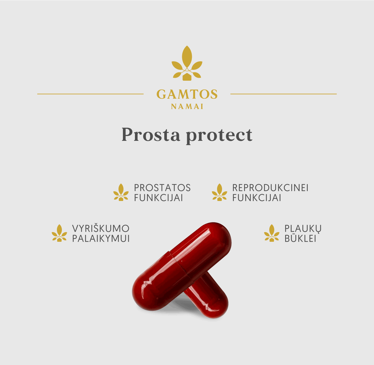 GAMTOS NAMAI, KOMPLEKSAS VYRIŠKUMUI PROSTA PROTECT, 60 kapsulių