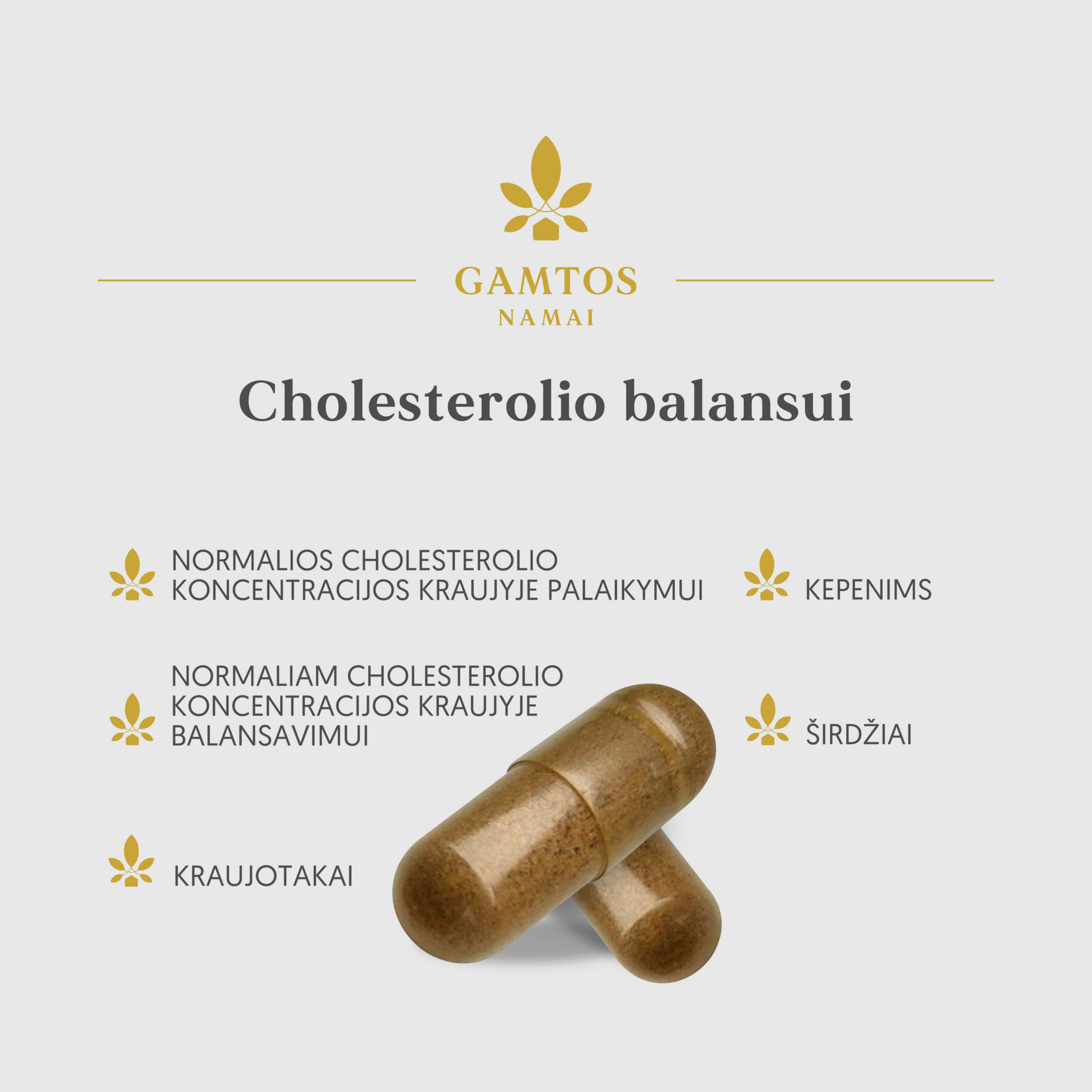 GAMTOS NAMAI, KOMPLEKSAS CHOLESTEROLIO BALANSUI, 60 kapsulių