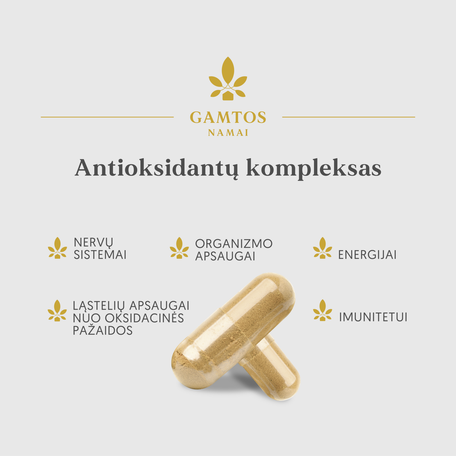 GAMTOS NAMAI, ANTIOKSIDANTŲ KOMPLEKSAS, 60 kapsulių