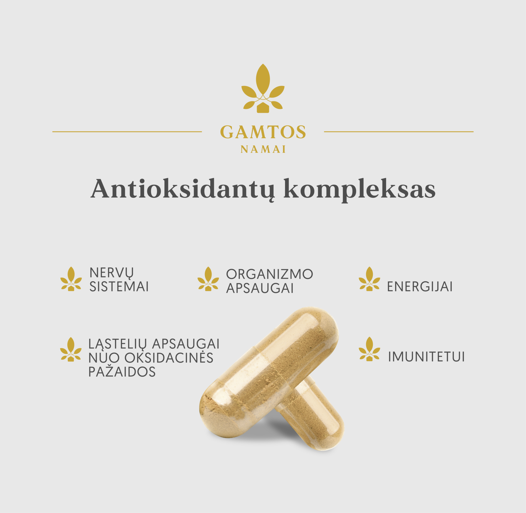 GAMTOS NAMAI, ANTIOKSIDANTŲ KOMPLEKSAS, 60 kapsulių