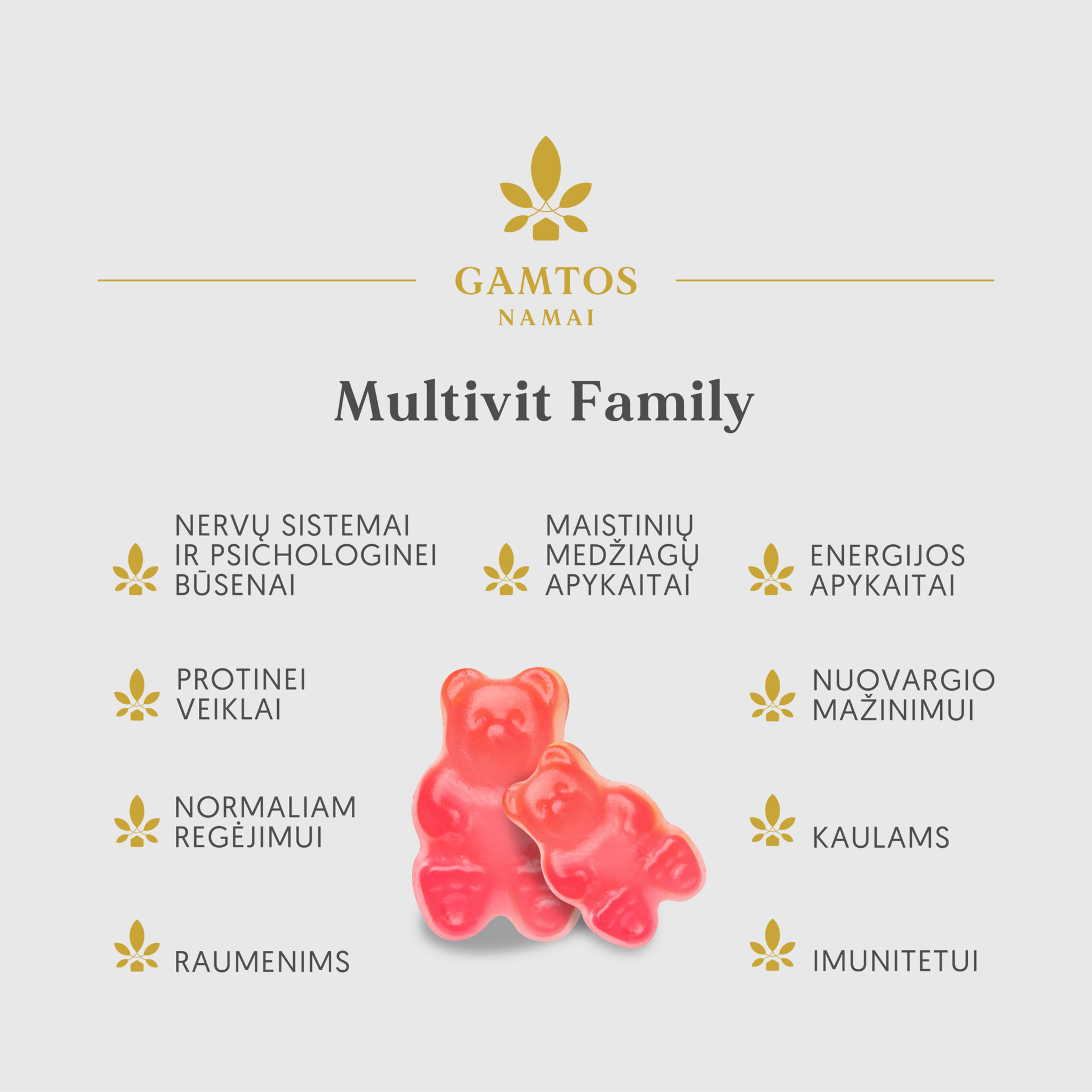 GAMTOS NAMAI, MULTIVIT FAMILY, 60 guminukų