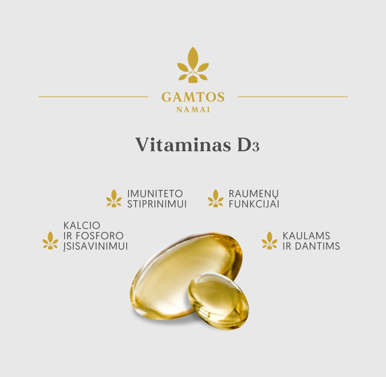 GAMTOS NAMAI, Vitaminas D3 2000, 60 minkštų kapsulių