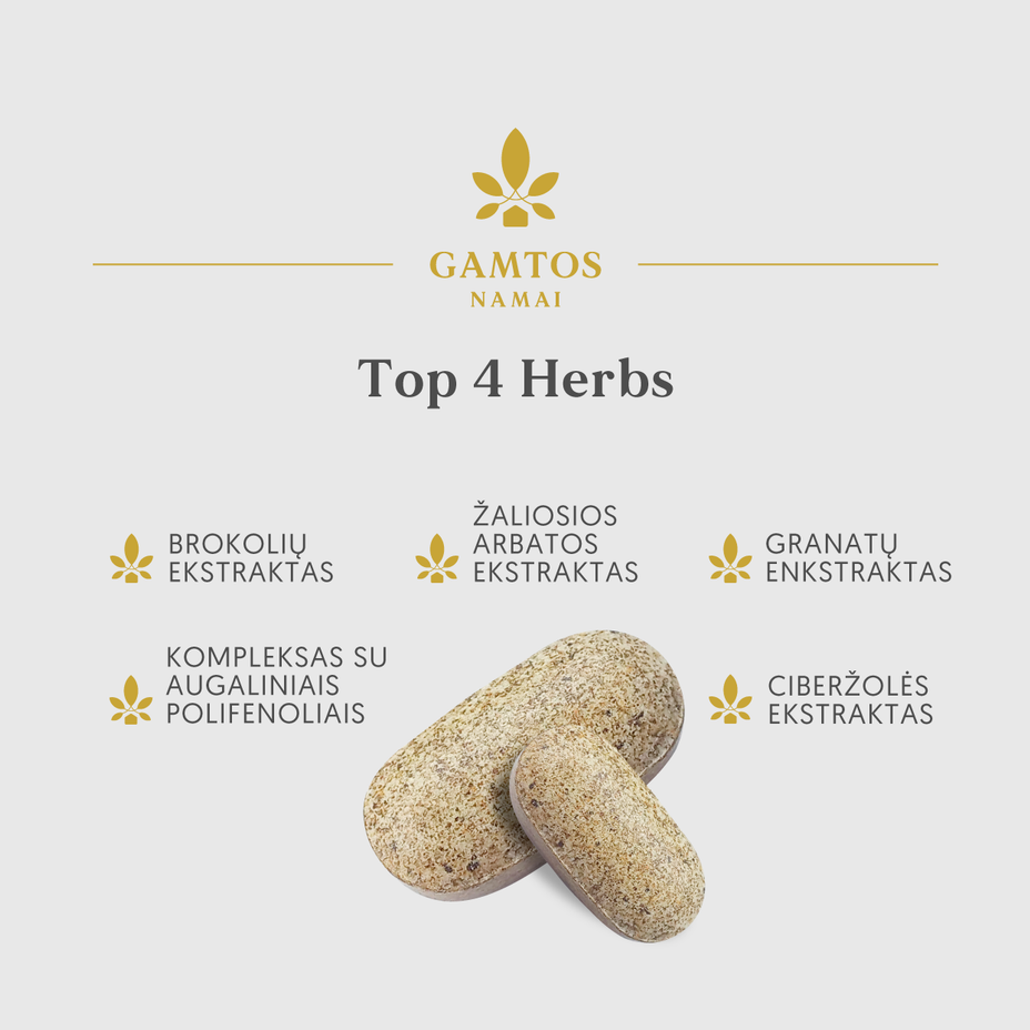 GAMTOS NAMAI, TOP 4 HERBS, 30 tablečių