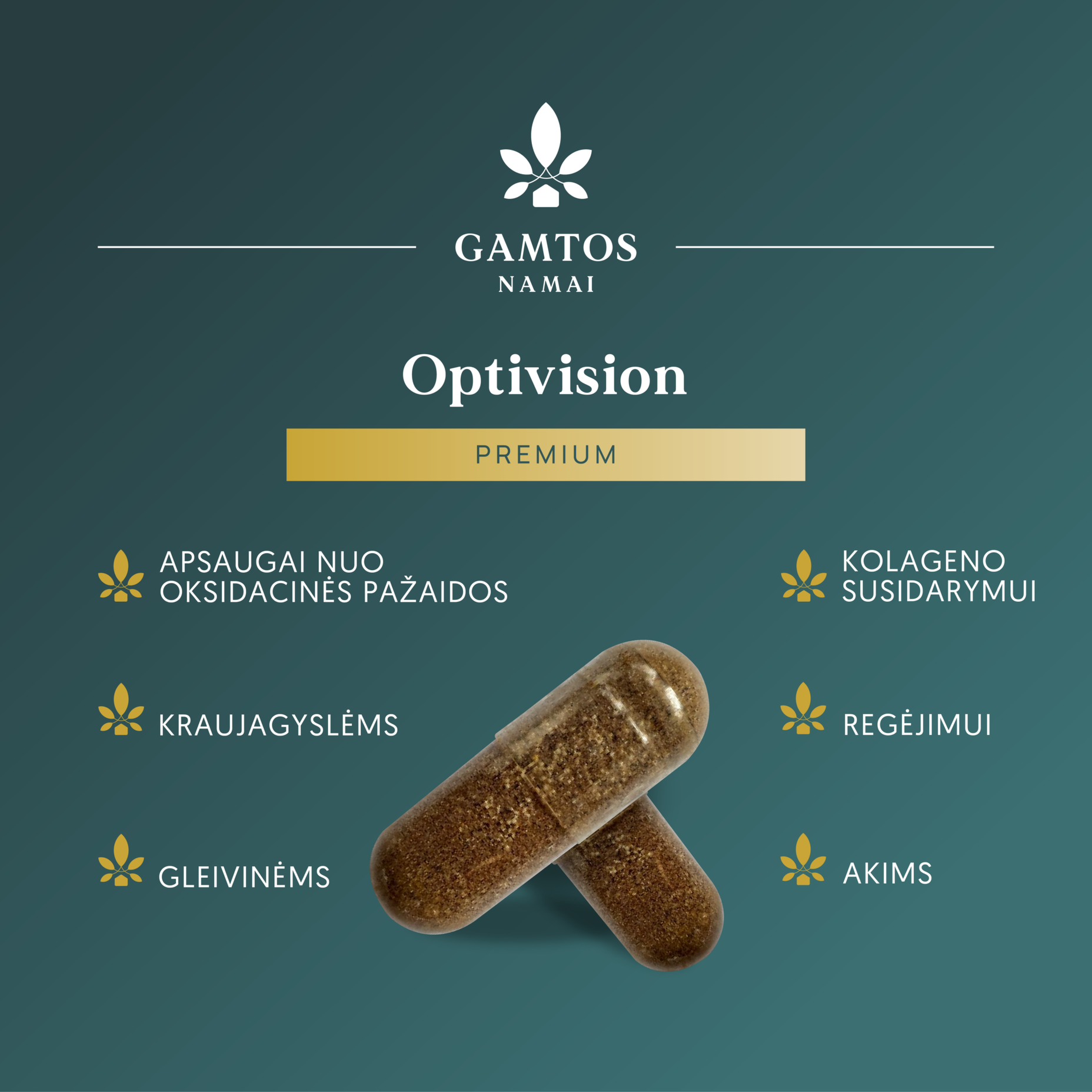 GAMTOS NAMAI, akims OPTIVISION PREMIUM, 30 kapsulių