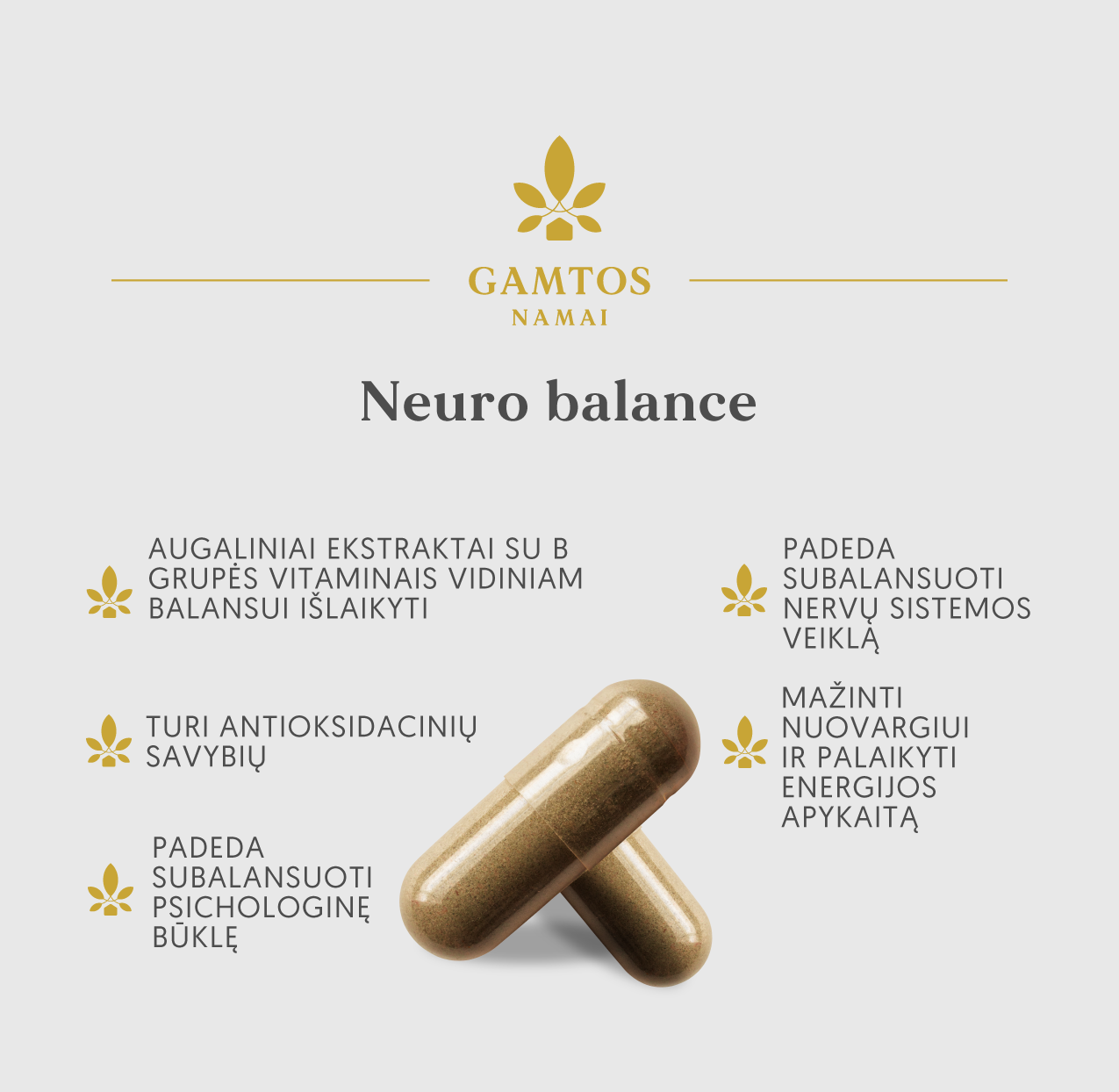 GAMTOS NAMAI, NEURO BALANCE, 60 kietųjų kapsulių