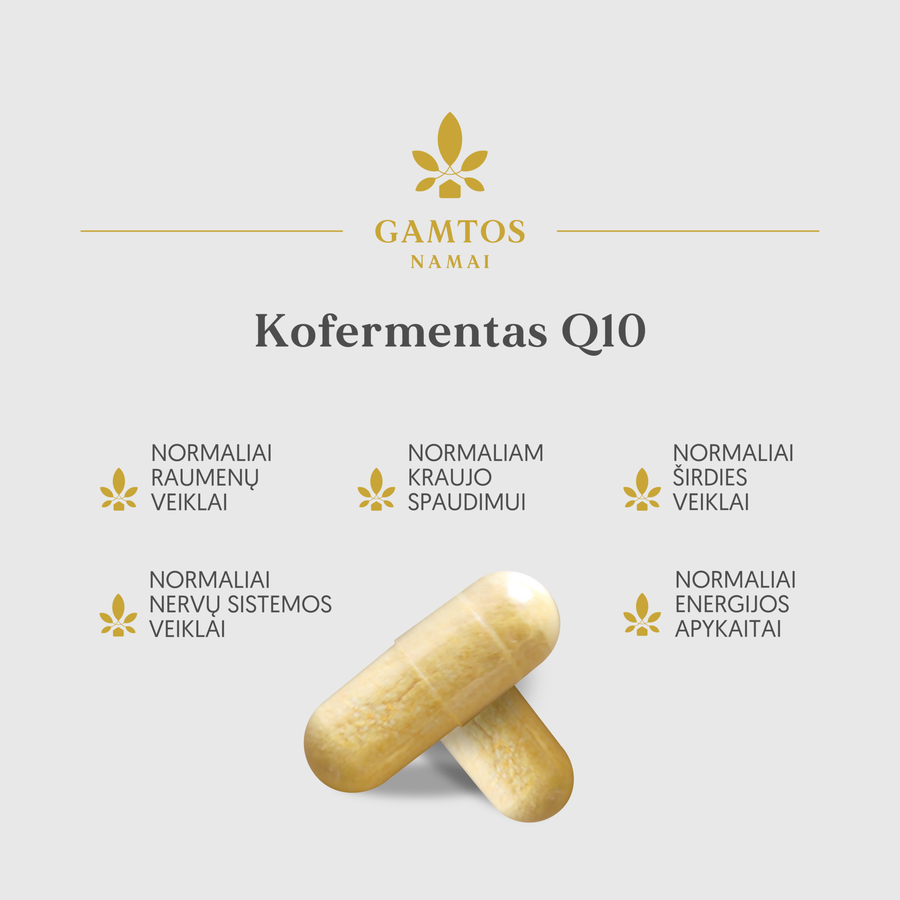 GAMTOS NAMAI, KOFERMENTAS Q10 100 mg, 60 kapsulių