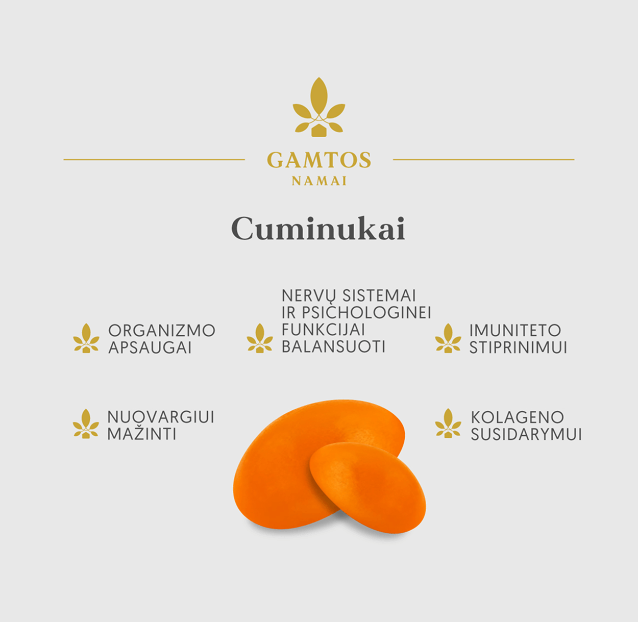 GAMTOS NAMAI, CUMINUKAI, 50 apelsinų skonio guminukų