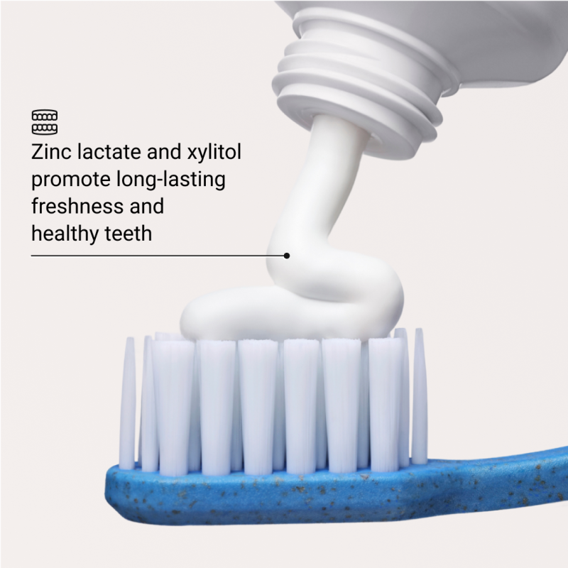 Alpine White, Whitening Toothpaste Anti Plaque Balinamoji dantų pasta nuo apnašų, 75ml
