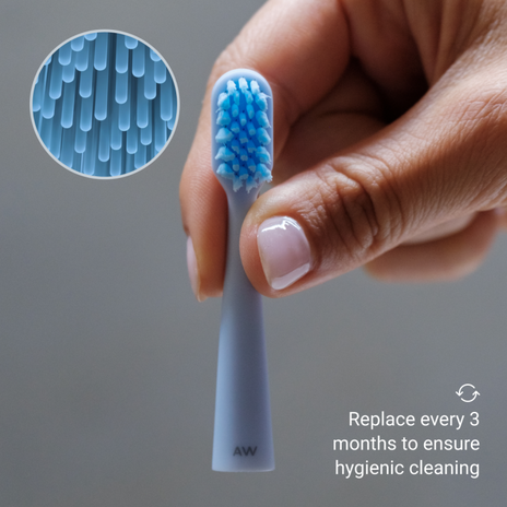 Alpine White, Sonic Toothbrush Replacement Heads Keičiamos galvutės dantų šepetėliui, 2vnt