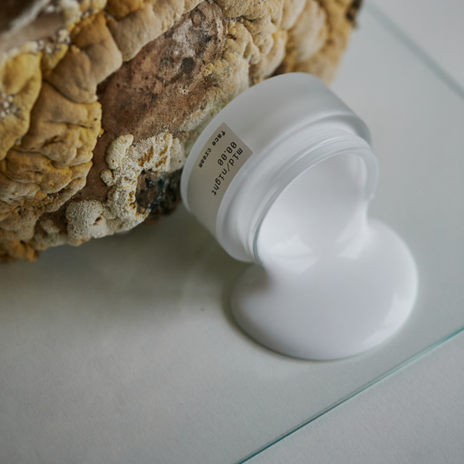 Midnight 00.00, 00.26 Face Cream Veido kremas, 50ml