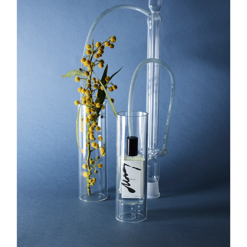Midnight 00.00, MORNING Eau de Parfum Parfumuotas vanduo, 50ml