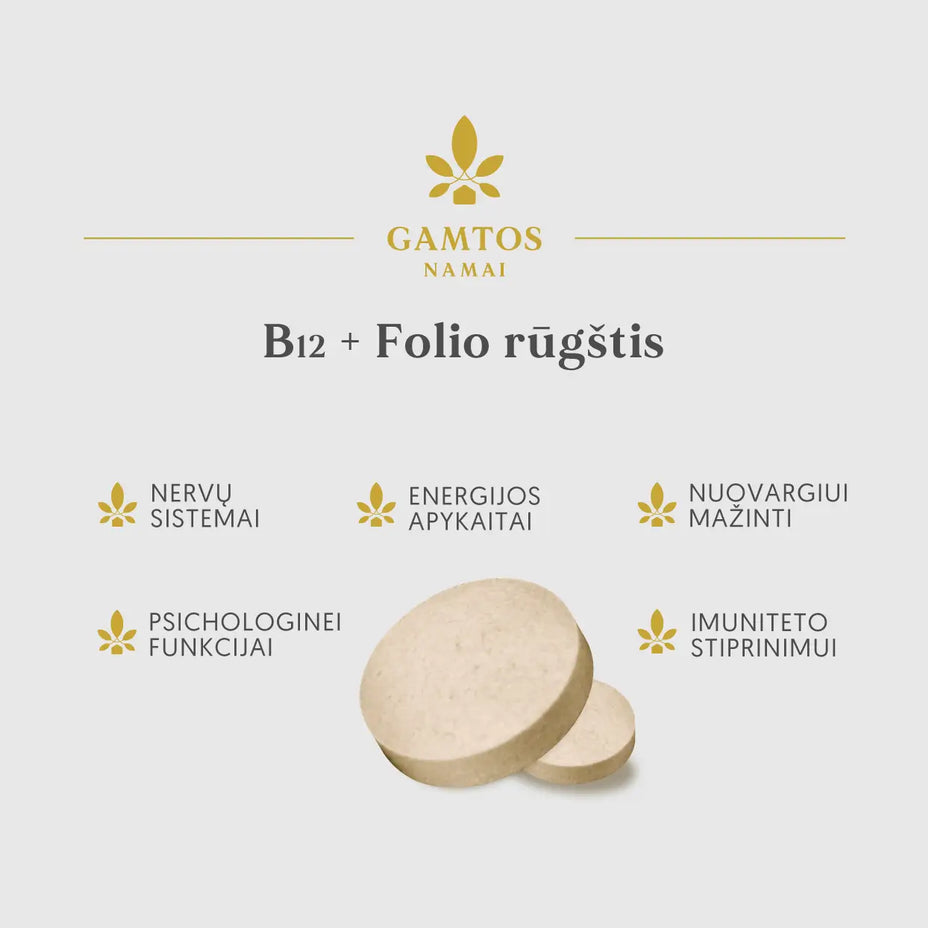 GAMTOS NAMAI, B12 + FOLIO RŪGŠTIS, 90 tablečių