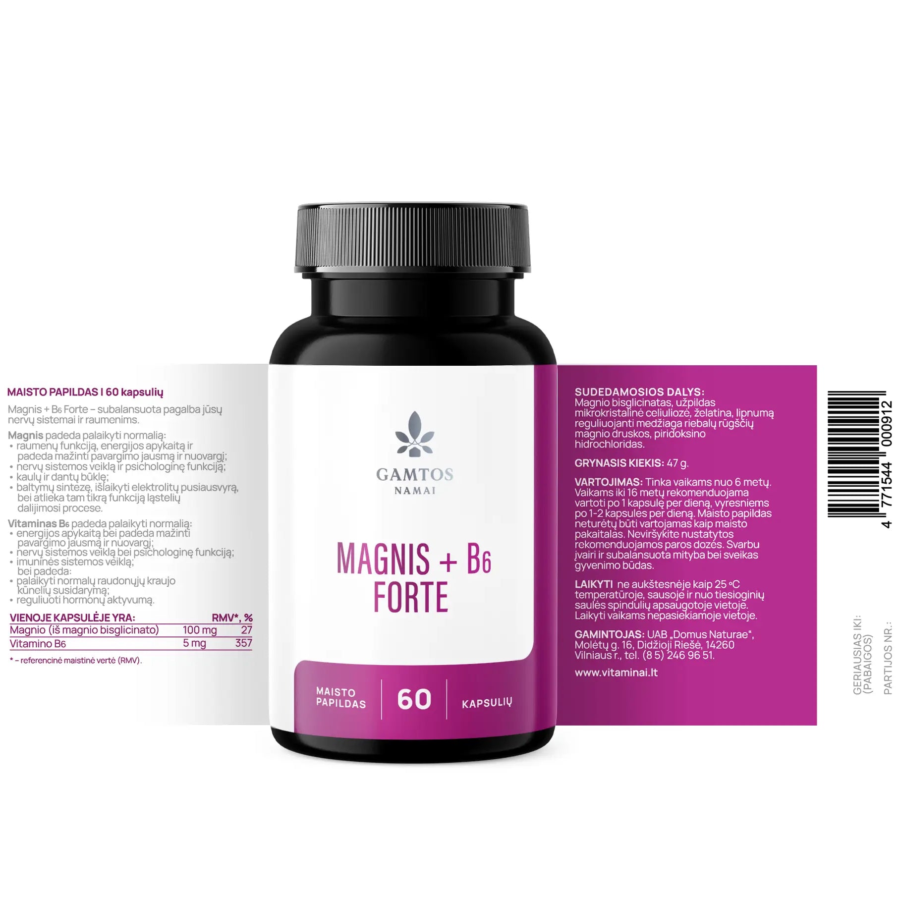 GAMTOS NAMAI, MAGNIS + B6 forte, 60 tablečių