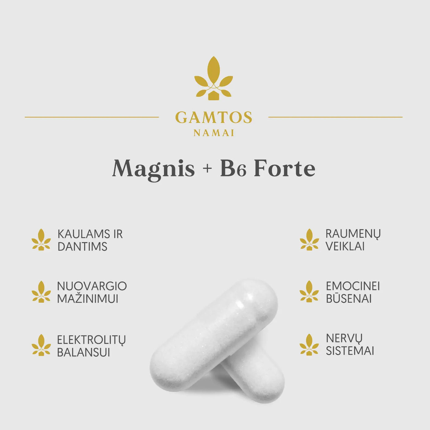 GAMTOS NAMAI, MAGNIS + B6 forte, 60 tablečių